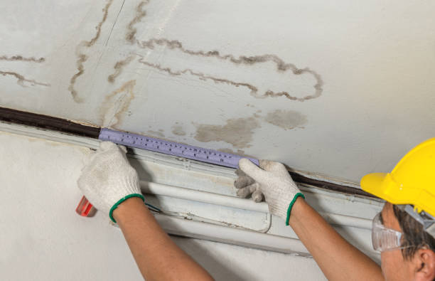 Reliable Burst Pipe Cleanup contractor in Cass City, MI by Local Water Damage Repair
